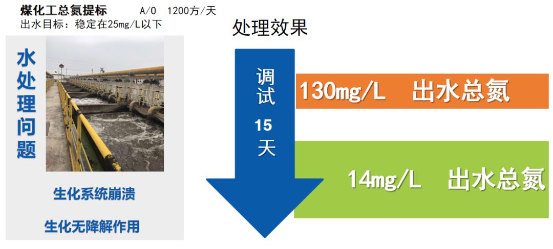 庫(kù)巴魯微生物降解案例