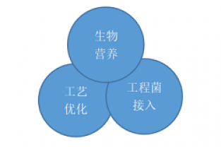 非工程改造-庫(kù)巴魯總氮提標(biāo)技術(shù)—長(zhǎng)隆科技