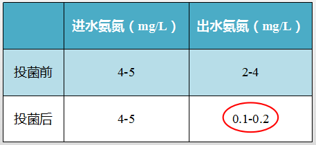 安徽某生活污水處理案例