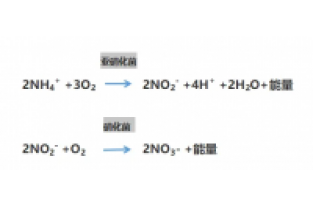 食品廢水氨氮超標(biāo)，你可以這么做